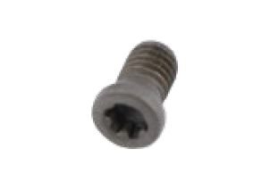 P013.-Insert fixing screw.-Suitable for: PLY-000395 PLY-000195 ref. BEVL2009